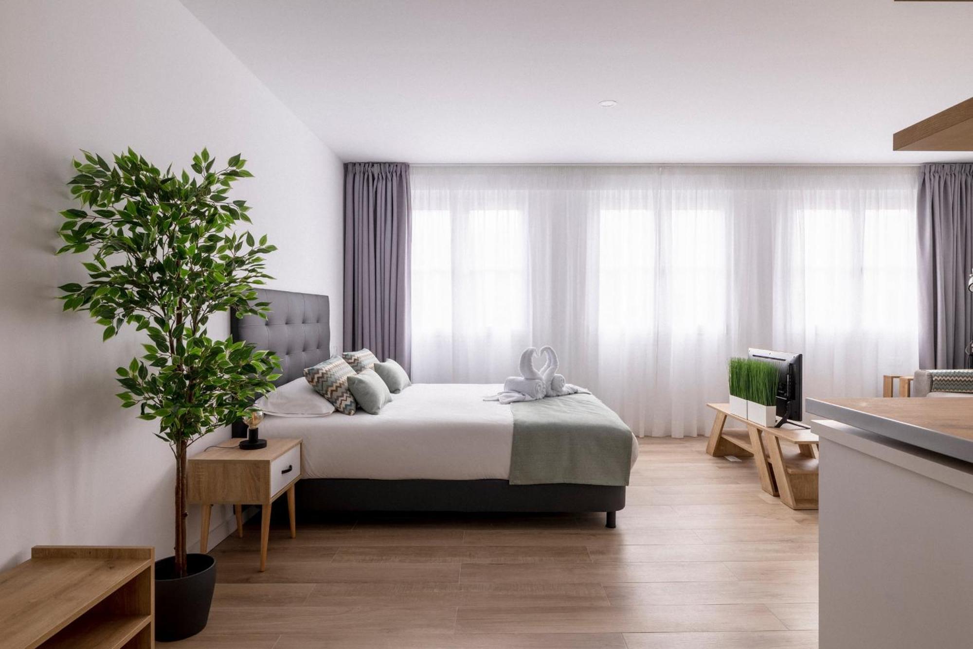 Casa Flori Διαμέρισμα Σαν Κριστόμπαλ ντε Λα Λαγούνα Εξωτερικό φωτογραφία
